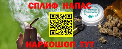 прущие грибы Краснодар