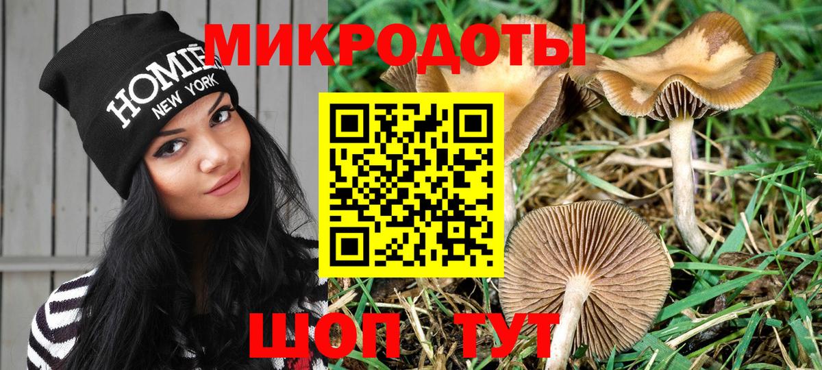 Псилоцибиновые грибы GOLDEN TEACHER Фурманов