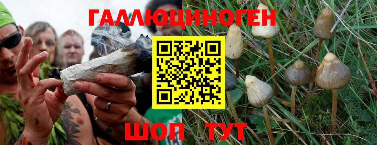 Псилоцибиновые грибы GOLDEN TEACHER  Псилоцибиновые грибы мухоморы  Фурманов  Вход с VPN 